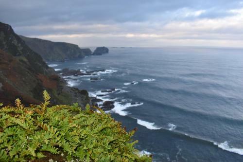 Ocean Bay