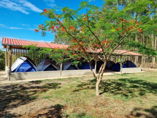 Posada Pousada Riacho Das Pedras