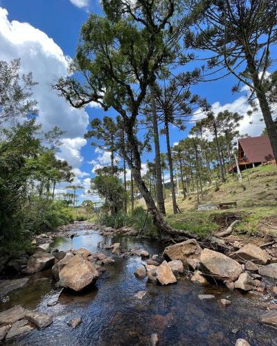 Apartamento Cabana Da Montanha - Urubici