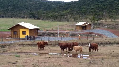 Fazenda Rancho Alegre