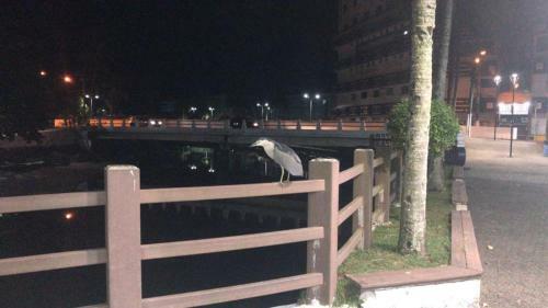 Apartamento Vi�a Del Mar