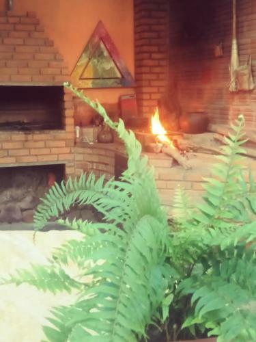 S�tio Estrela Da Manh�