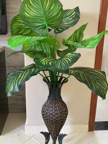 Apartamento Cantinho Do C�nego
