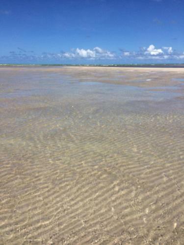 Paripueira Casar�o Com Piscina Pr�ximo Ao Mar