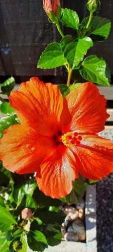 Recanto Dos Guimar�es