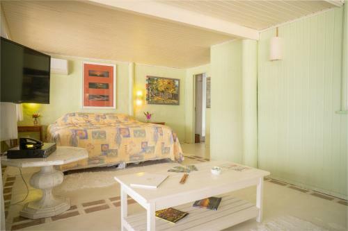 Hostal Ilha Do Papagaio Adventures