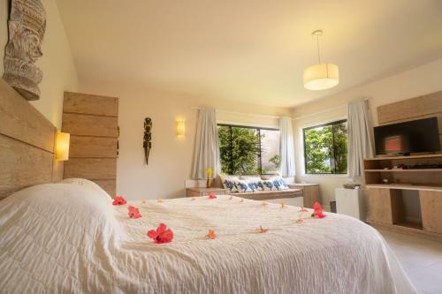 Hostal Ilha Do Papagaio Adventures