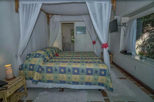 Hostal Ilha Do Papagaio Adventures