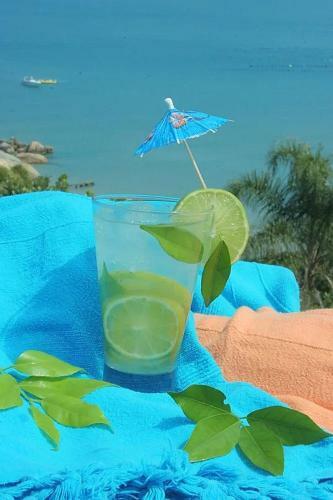 Hostal Ilha Do Papagaio Adventures