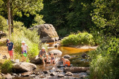Camping Du Pont De Braye