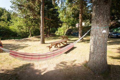 Camping Du Pont De Braye