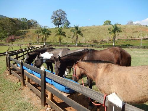 Casa Gourmet Na Fazenda Com Jacuzzi E Churrasqueira