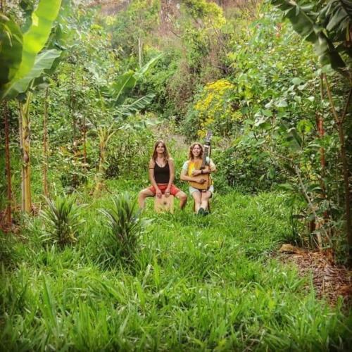 Chal� Nas Agroflorestas - Montanhas Da Mantiqueira