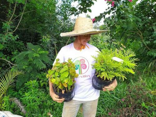 Chal� Nas Agroflorestas - Montanhas Da Mantiqueira