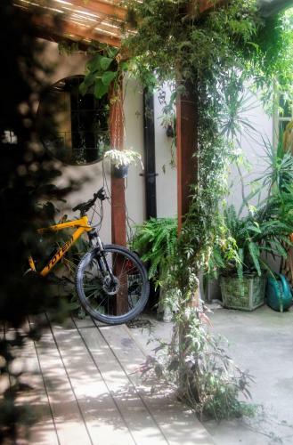 Hostal Frida Casa Y Hostel