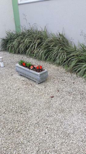 Apartamento Apto Pi�arras Com Piscina