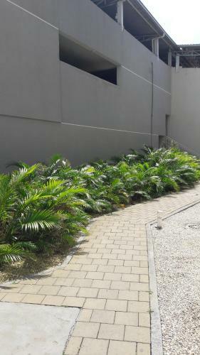 Apartamento Apto Pi�arras Com Piscina