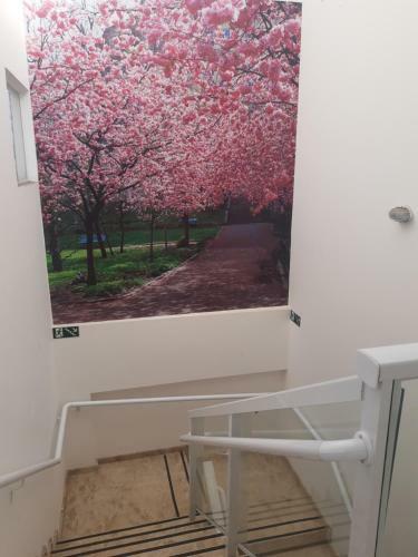 Apartamento Flat Gavim