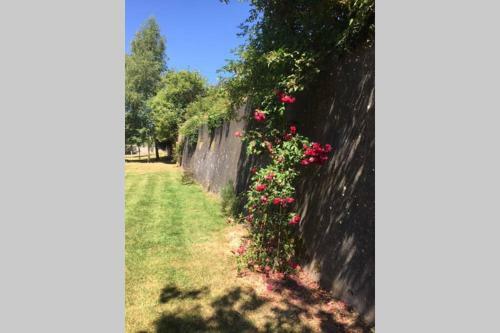 Apartamento Riverside Haven