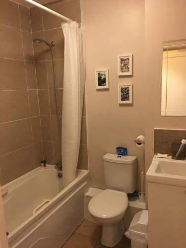 Entire Apartment In Dublin City Center