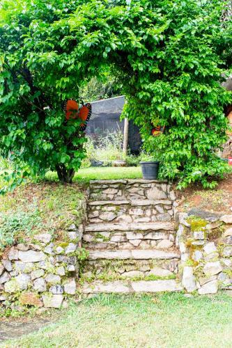 Posada Pousada �guas Da Serra