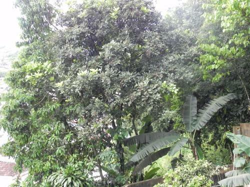 Apartamento Aconchego E Requinte No Centro