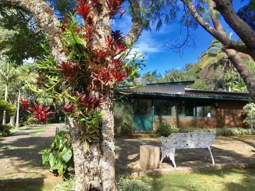 Hostal Pinheiros Do Rocio