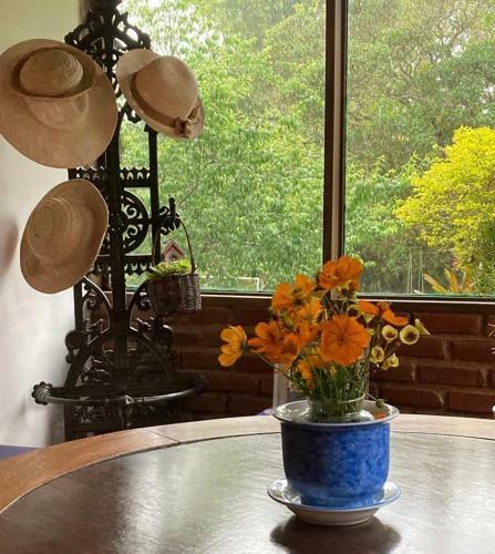 Hostal Pinheiros Do Rocio
