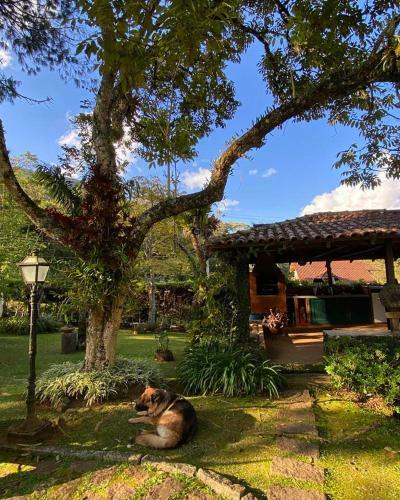 Hostal Pinheiros Do Rocio