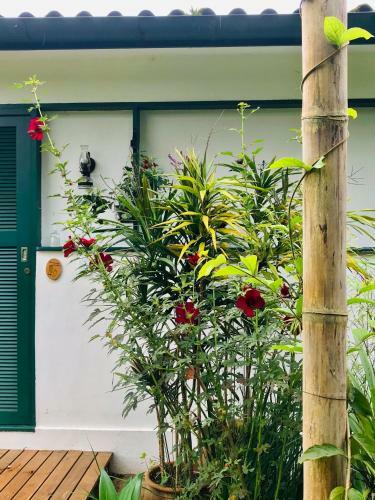 Hostal Pinheiros Do Rocio