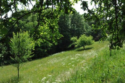 Stilvolles Landhaus Im Dreil�ndereck