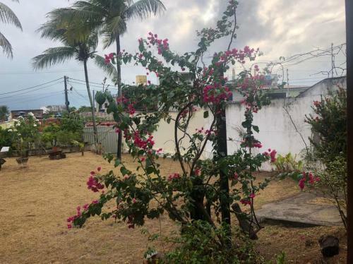 Casa Na Redinha / Natal Rn