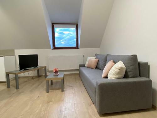 O�zis Apartmanh�z