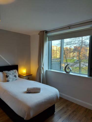 Wild Atlantic Apartments Killarney
