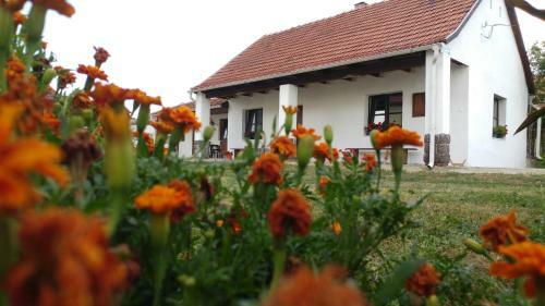 Hostal Oncsa Vend�gh�z