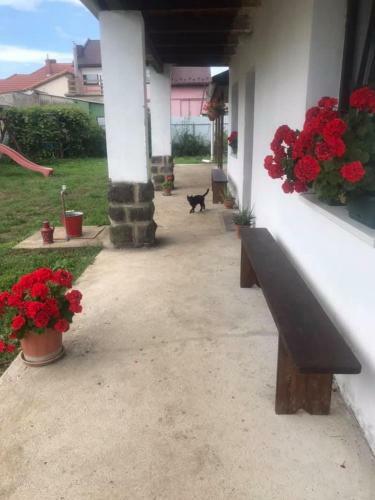 Hostal Oncsa Vend�gh�z