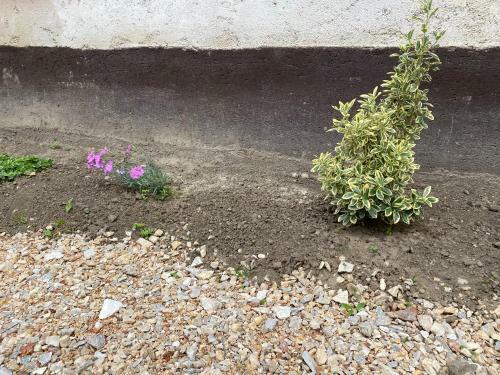 Apartamento Levendula Vend�gh�z