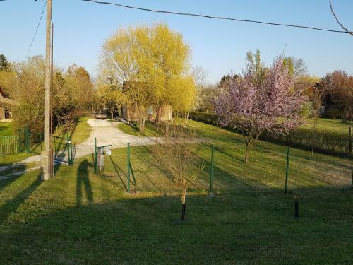 Bogl�rka Horg�sznyaral�