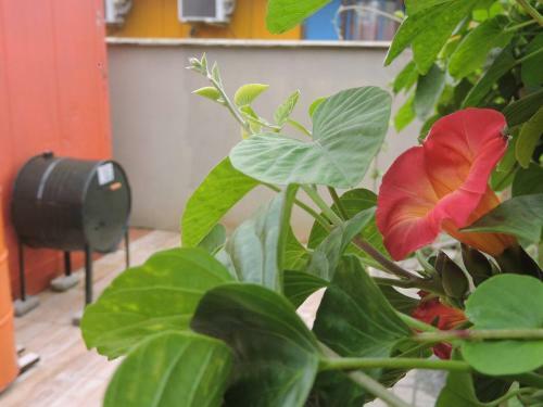 Apartamento Pousada Flatainer/tiny House/350m Do Beto Carrero