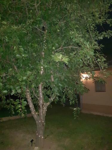 Limon�d� Apartman