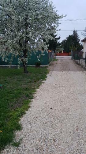 Limon�d� Apartman