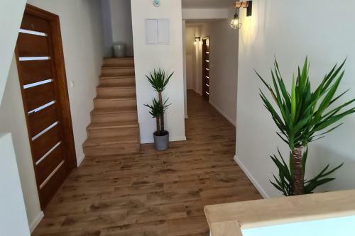 Hostal Mihely�nk