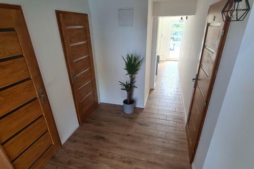 Hostal Mihely�nk