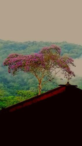 La Luciole Ecolodge
