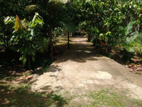 Chal�s Bela Vista