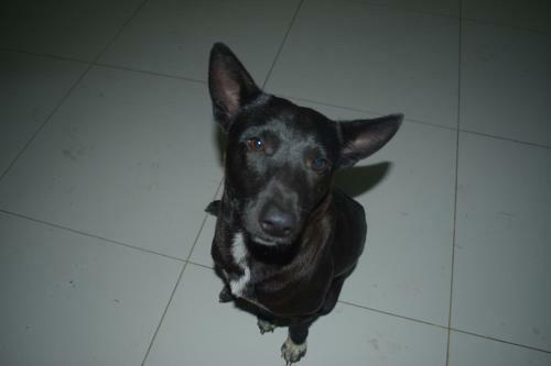 Hotel Pousada Santo Ant�nio