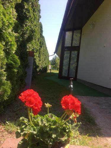 Hostal Marta Guest House