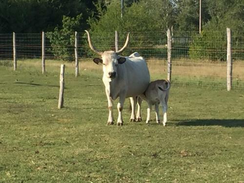 Hostal Marta Guest House