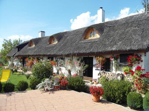 Apartamento N�dash�z