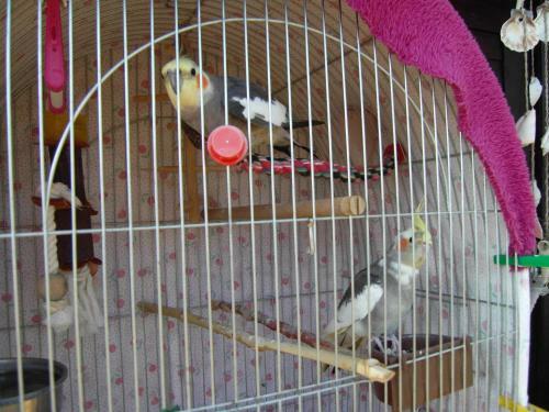 Apartamento N�dash�z